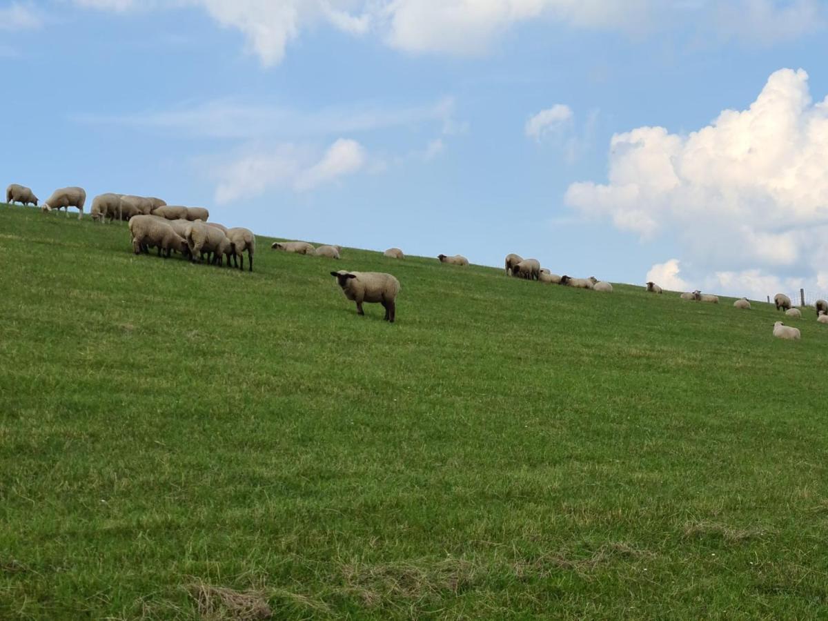 Watt´n Blick - Hundefreundliches Ferienhaus mit Ausblick über die Wiesen bis zum Deich Schweiburg Exterior foto